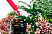Flores de Bach: las 38 esencias florales que tratan emociones