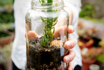 Cómo hacer un terrario con tarros de cristal